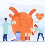cardiologists-examining-heart-with-stethoscope-blood-samples-lab-tubes-among-pills-heartbeat-diagram-vector-illustration-cardiology-medical-examination-heart-disease-concept_74855-9817